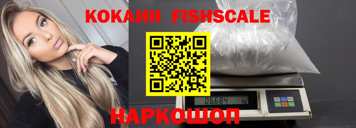 COCAIN Fish Scale Холмск