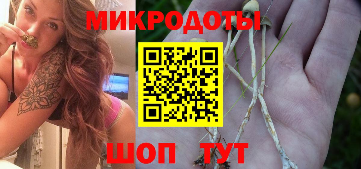 Псилоцибиновые грибы MAGIC MUSHROOMS  Псилоцибиновые грибы GOLDEN TEACHER  Холмск  Вход с VPN 