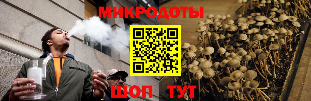 Галлюциногенные грибы мицелий Холмск