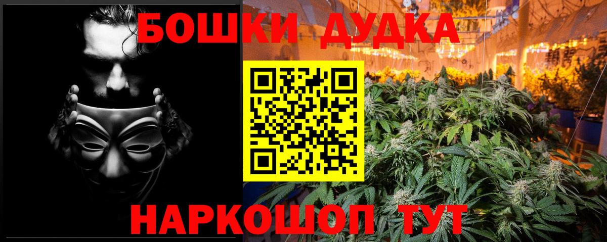 Конопля планчик Холмск